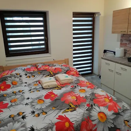 公寓 Studio Trebon *