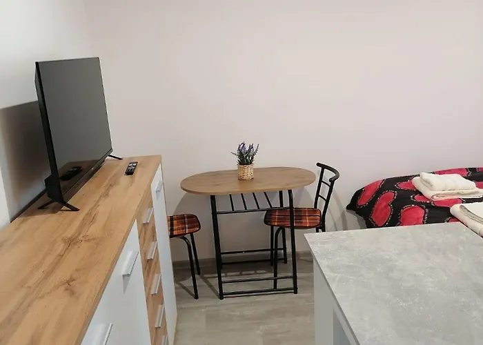 Lägenhet Studio Trebon *